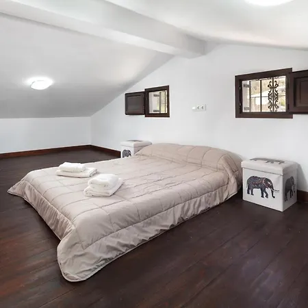 Villa Mango Cutar